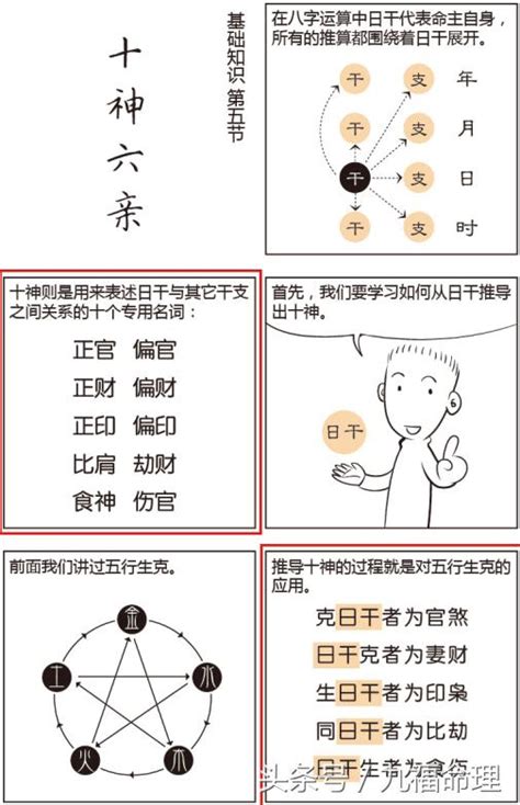 八字六親宮位|八字命理基礎快速入門(三)十神與六親關係和八字宮位介紹－歹命。